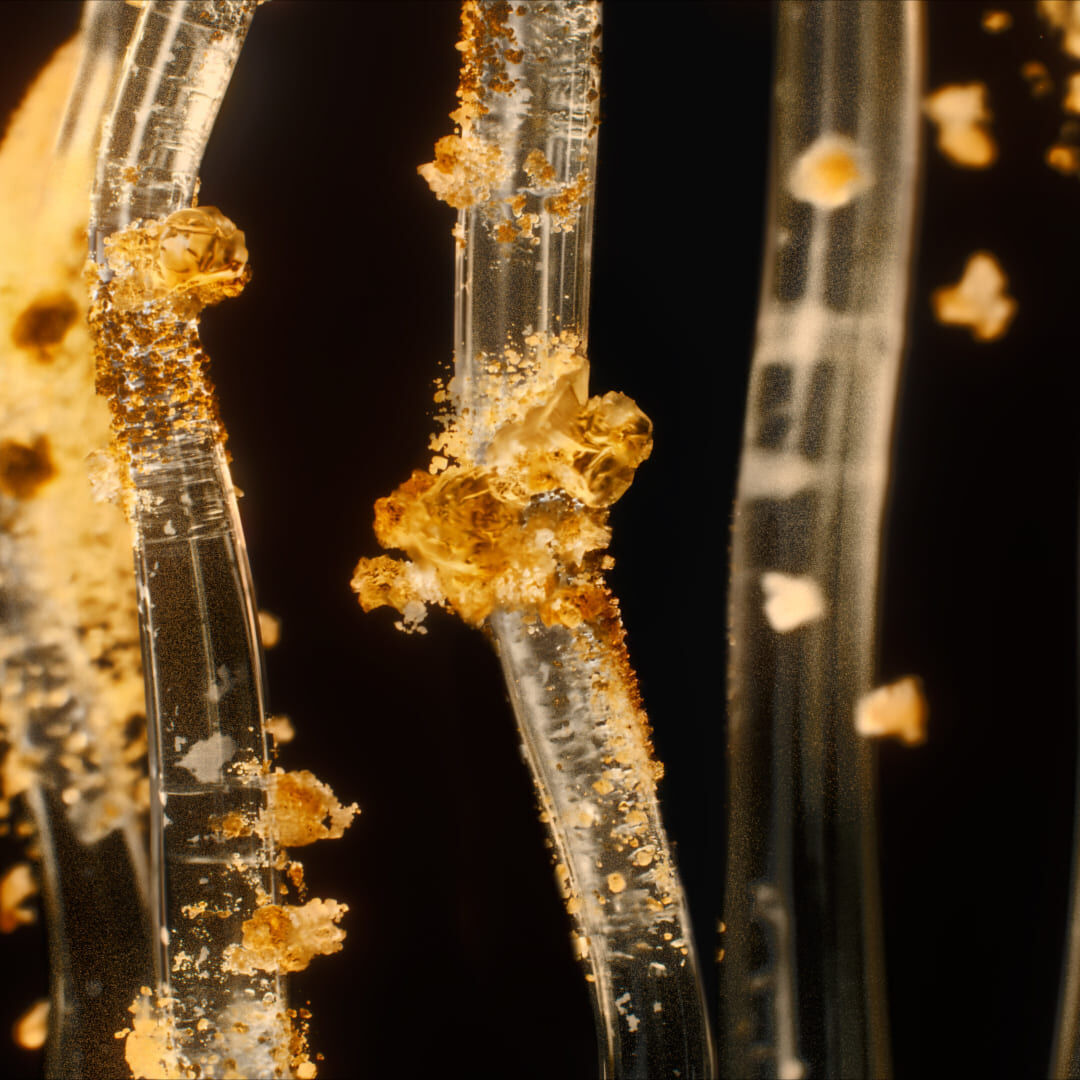 Vista microscopica delle fibre di collagene descaramelizzate per lelasticita della pelle e il ripristino della giovinezza.